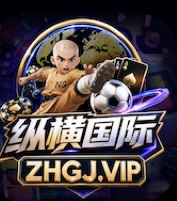 纵横国际
